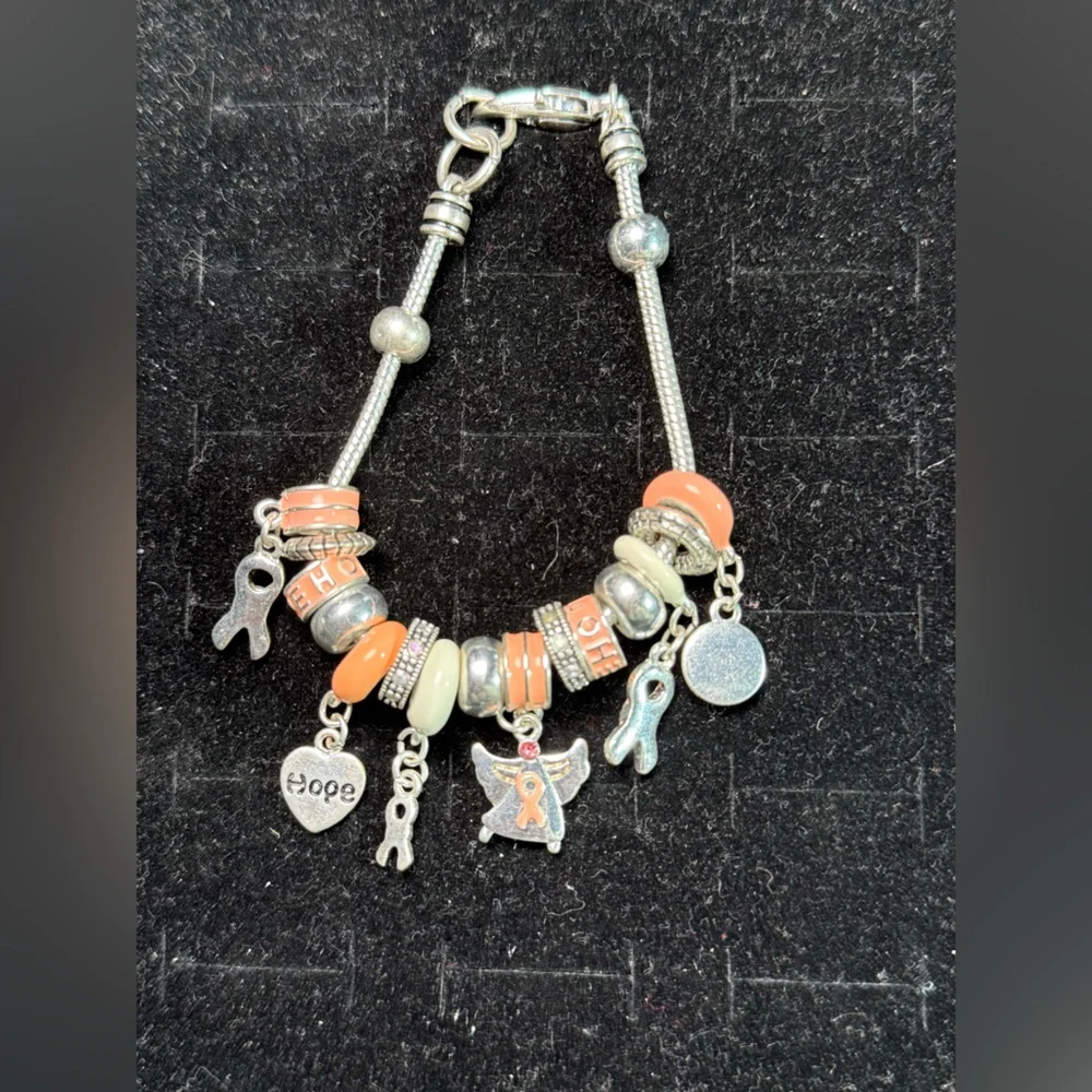 Breast Cancer‎ Awareness Charm Bracelet Silver Tone and Pink Charms